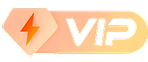 VIP会员